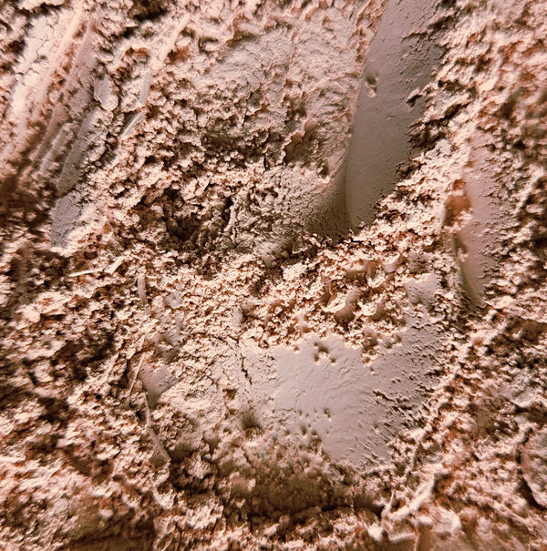 Pigment  Cosmetic Rose Nude
