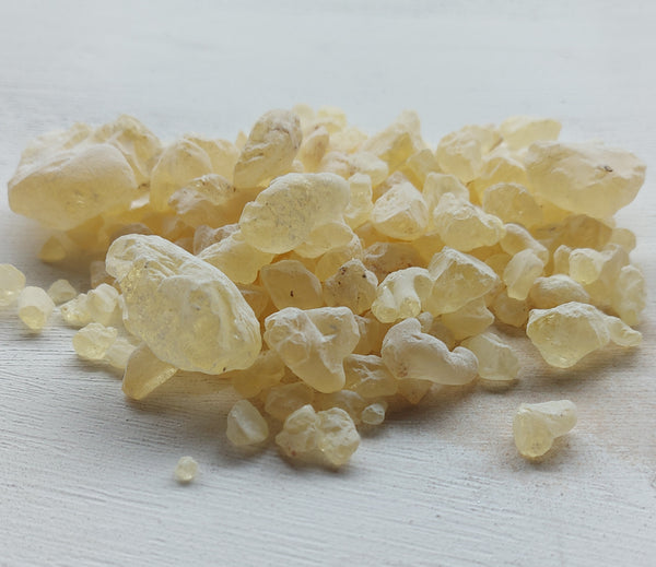 Dammar Gum